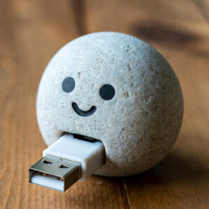 USB Pet Rock